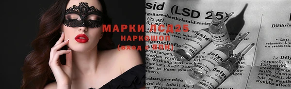 мяу мяу мука Алзамай