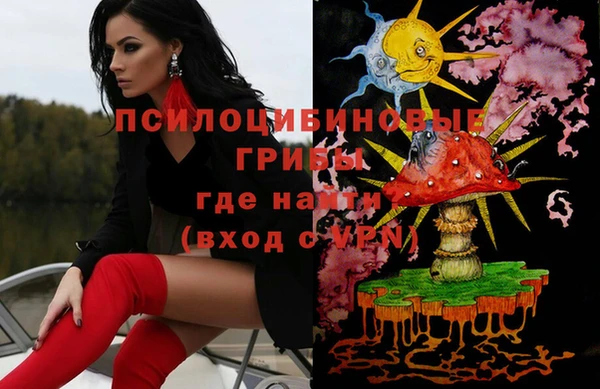 мяу мяу мука Алзамай